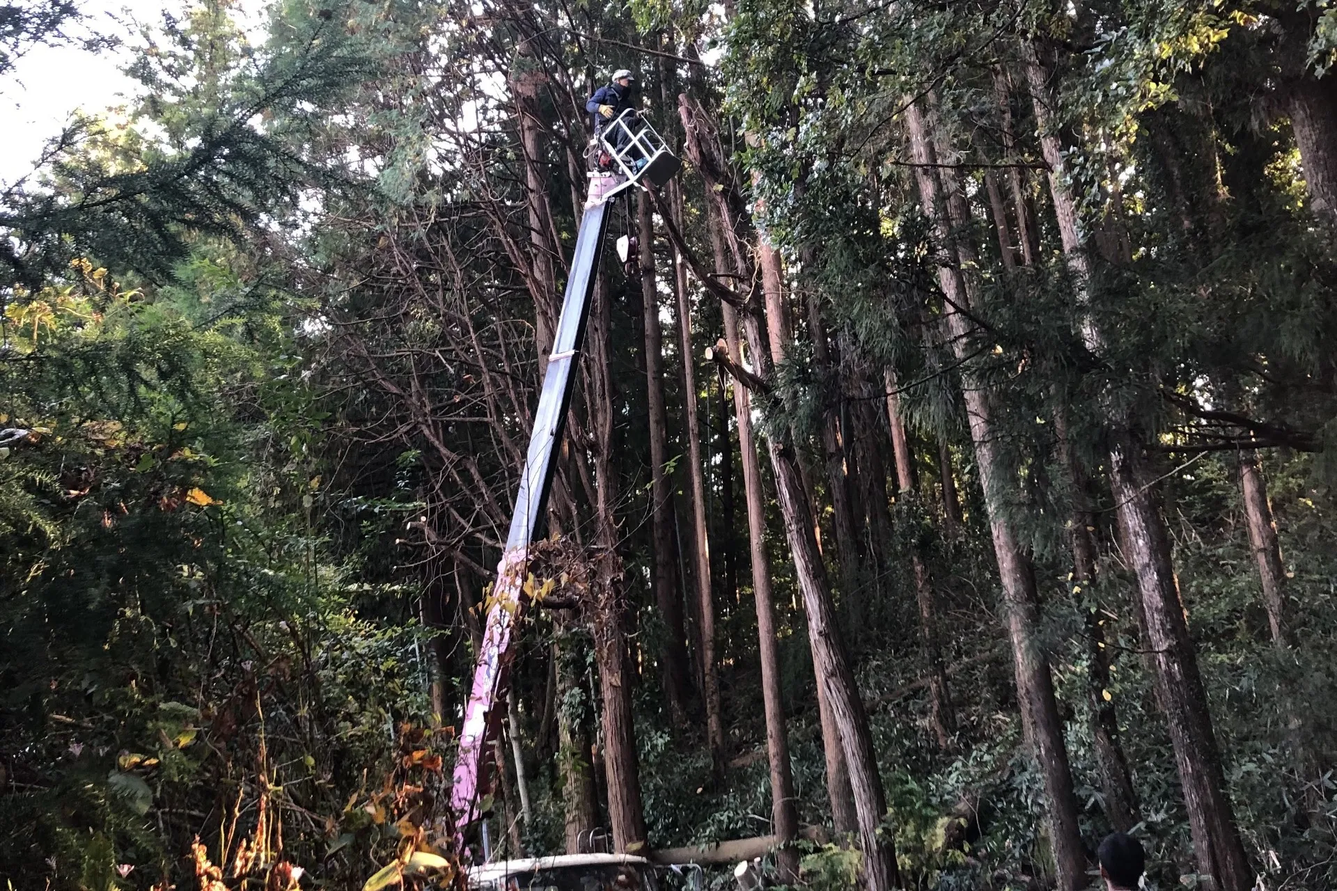 安全迅速な作業と多彩なサポート体制