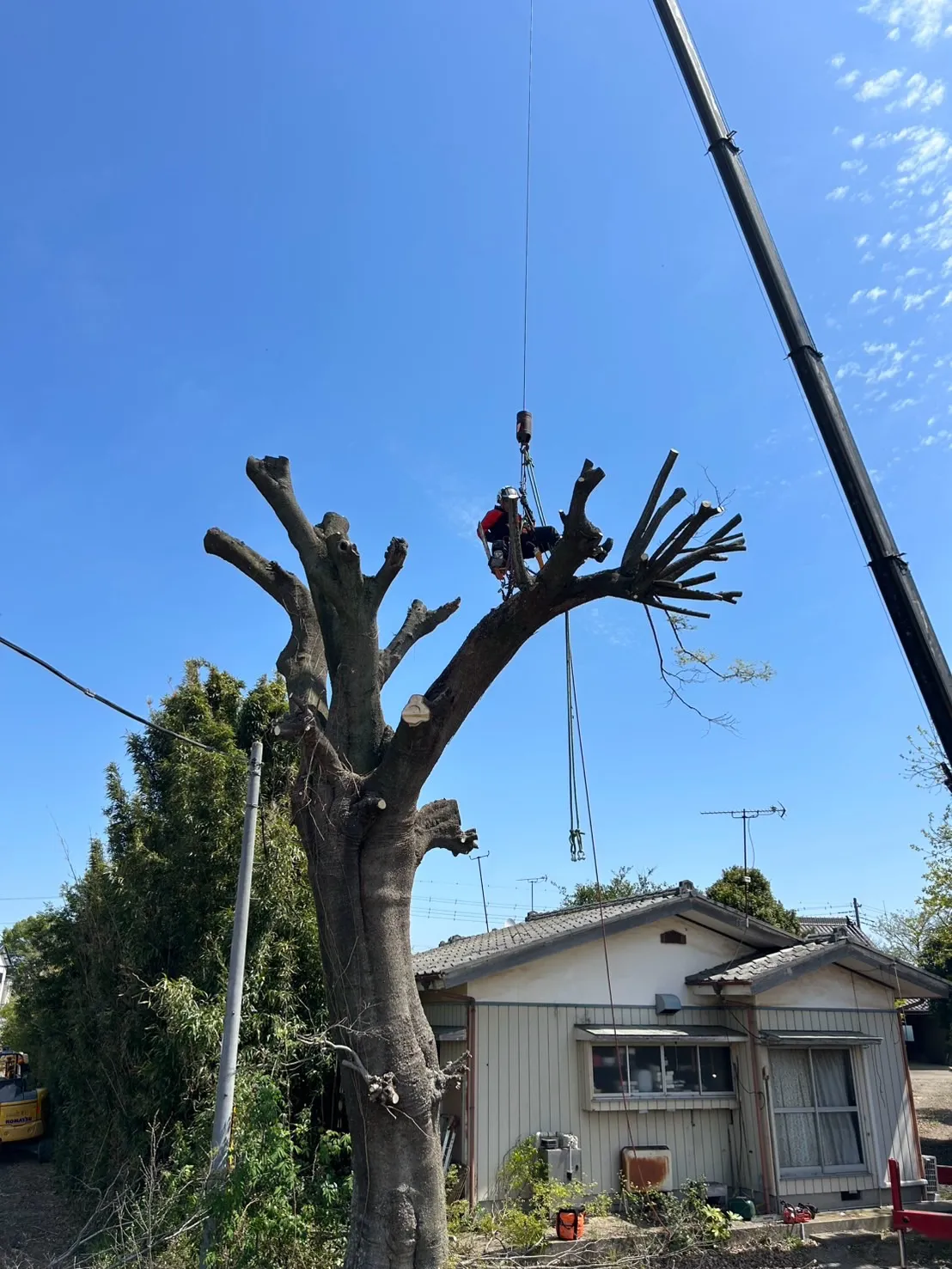 先日の作業風景です。