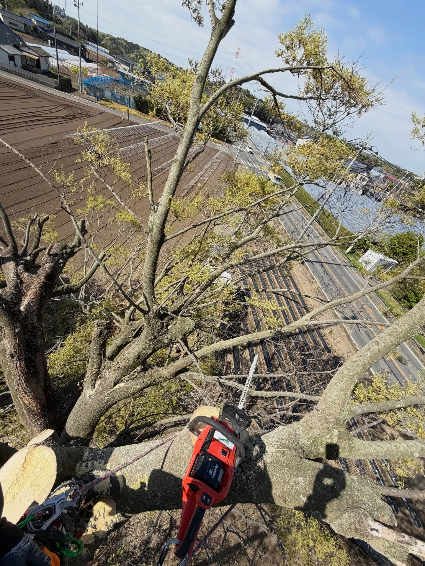 先日の作業風景です。