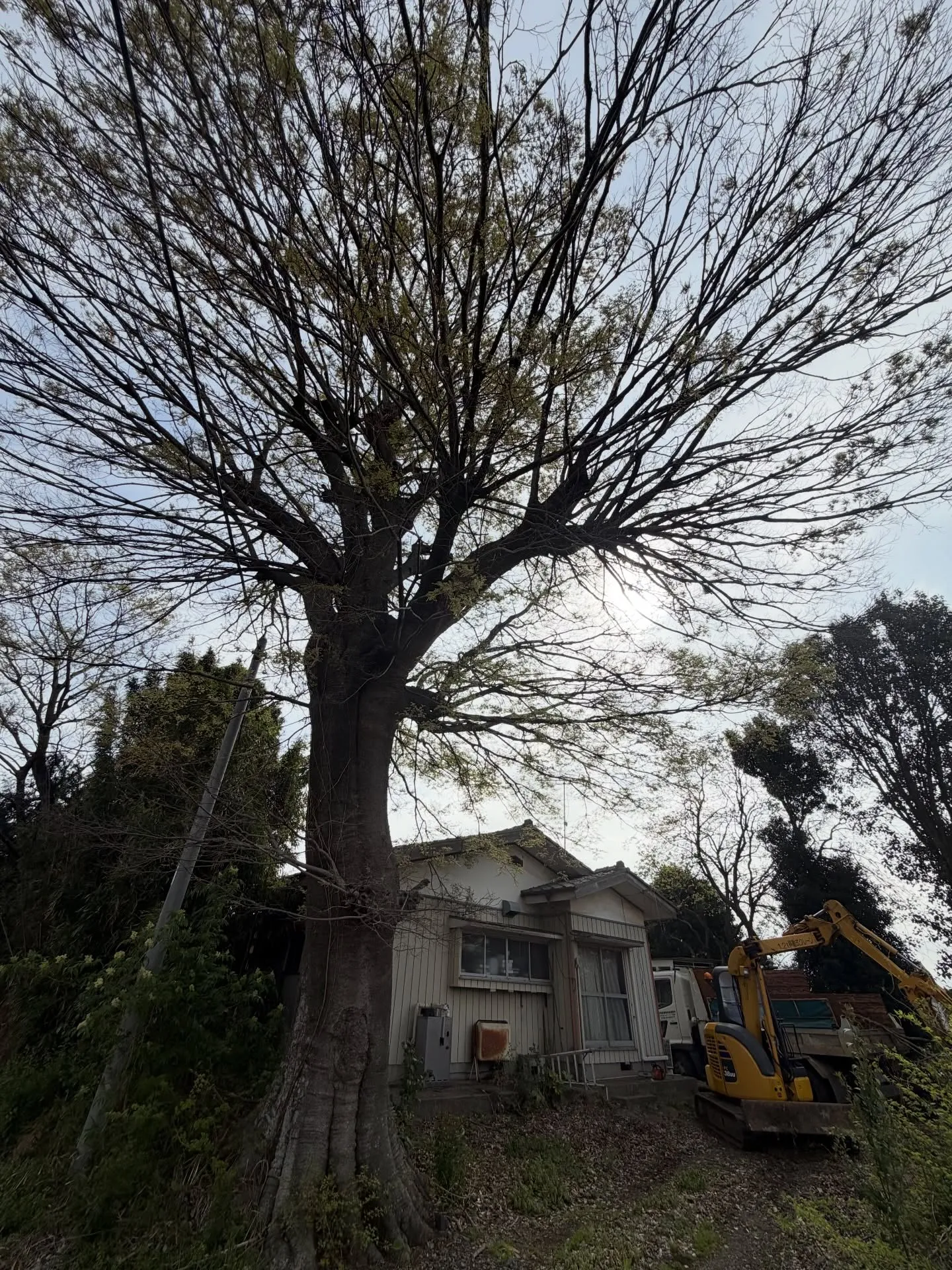 先日の作業風景です。
